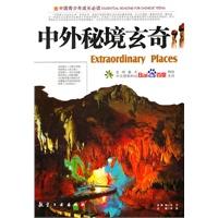 哥特舰队